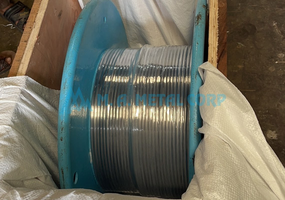 Lead Wire